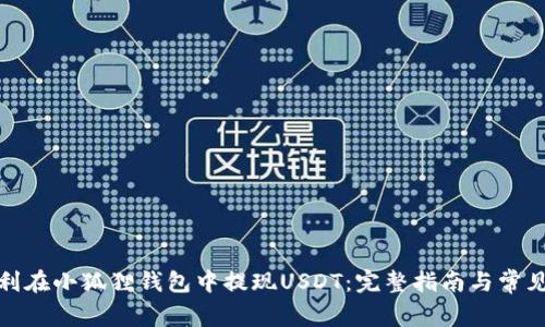 : 如何顺利在小狐狸钱包中提现USDT：完整指南与常见问题解答