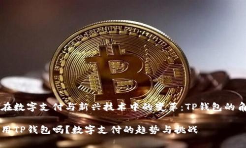 中东国家在数字支付与新兴技术中的变革：TP钱包的角色与未来

中东国家用TP钱包吗？数字支付的趋势与挑战