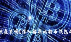 比特币钱包可以放在硬盘