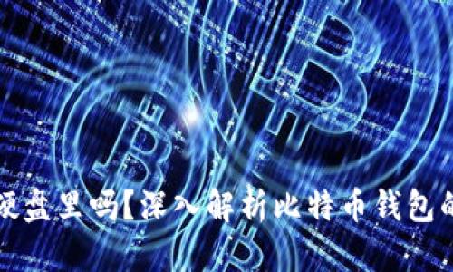 比特币钱包可以放在硬盘里吗？深入解析比特币钱包的存储方式及其安全性