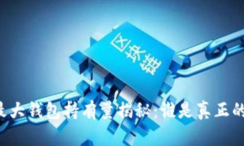 比特币最大钱包持有量揭秘：谁是真正的“鲸鱼”？