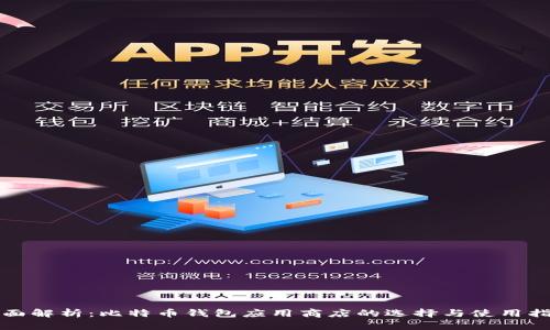 全面解析：比特币钱包应用商店的选择与使用指南