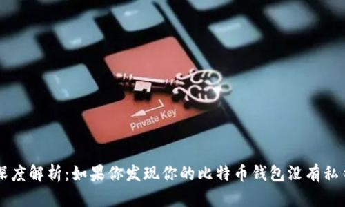 比特币钱包深度解析：如果你发现你的比特币钱包没有私钥，该怎么办？