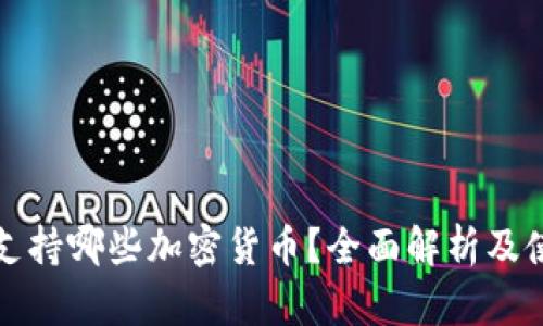 TP钱包支持哪些加密货币？全面解析及使用指南