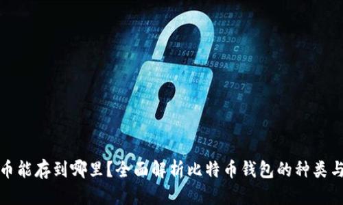比特币能存到哪里？全面解析比特币钱包的种类与选择