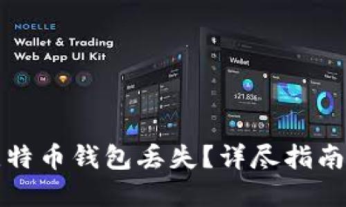 如何应对比特币钱包丢失？详尽指南与解决方案