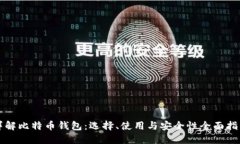 详解比特币钱包：选择、使用与安全性全面指南