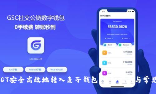 如何将USDT安全高效地转入麦子钱包：详细指南与常见问题解答