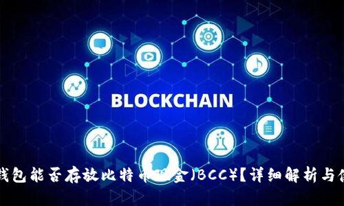 比特币钱包能否存放比特币现金（BCC）？详细解析与使用指南