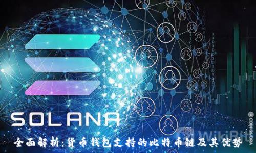   
全面解析：货币钱包支持的比特币链及其优势