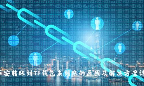  币安转账到TP钱包未到账的原因及解决方案详解
