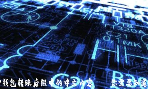 
解密TP钱包转账后缀中的中文内容——你需要知道的一切