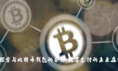 Visa探索与比特币钱包的合