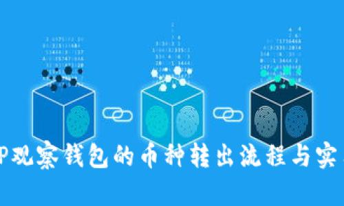 详解TP观察钱包的币种转出流程与实用技巧