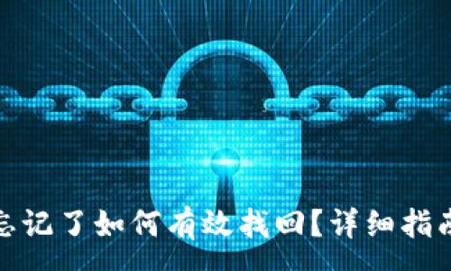 :
TP钱包密钥忘记了如何有效找回？详细指南与实用策略