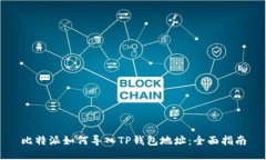 比特派如何导入TP钱包地址
