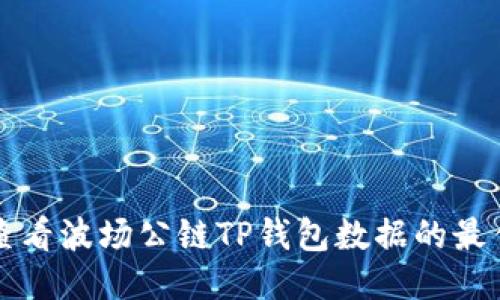 如何查看波场公链TP钱包数据的最佳方法