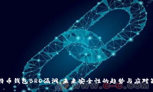 比特币钱包BRD漏洞：未来安全性的趋势与应对策略