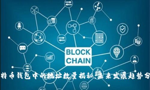 比特币钱包中的地址数量揭秘：未来发展趋势分析