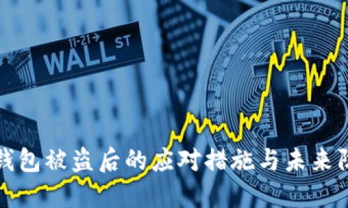 以太坊钱包被盗后的应对措施与未来防范策略