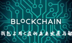 比特币钱包占用C盘的未来