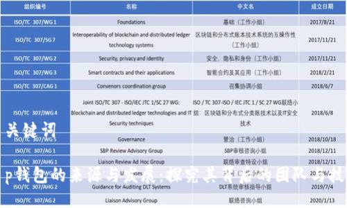 与关键词

t p钱包的来源与发展：探究其背后的团队与技术