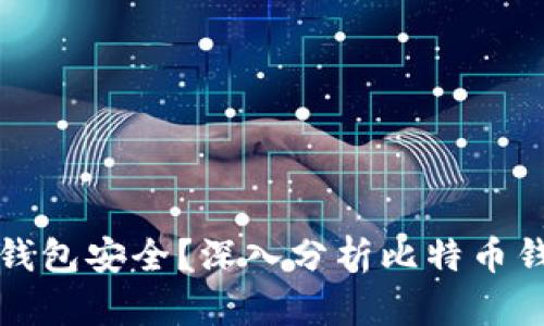 为什么比特币钱包安全？深入分析比特币钱包的安全机制