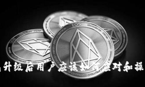 TP钱包升级后用户应该如何应对和操作指南