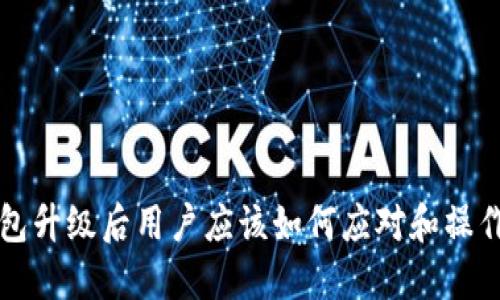 TP钱包升级后用户应该如何应对和操作指南