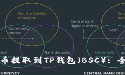 如何将币提取到TP钱包（BSC）: 全面指南