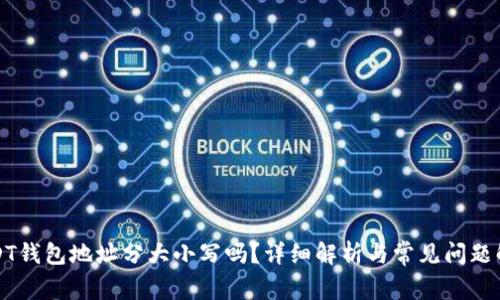 USDT钱包地址分大小写吗？详细解析与常见问题解答